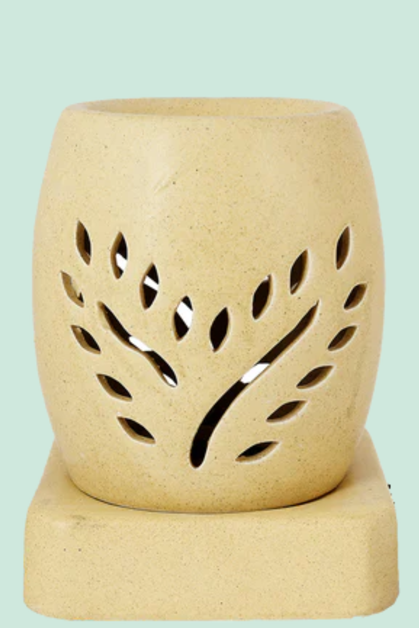 Premium Aroma Oils & Diffusers